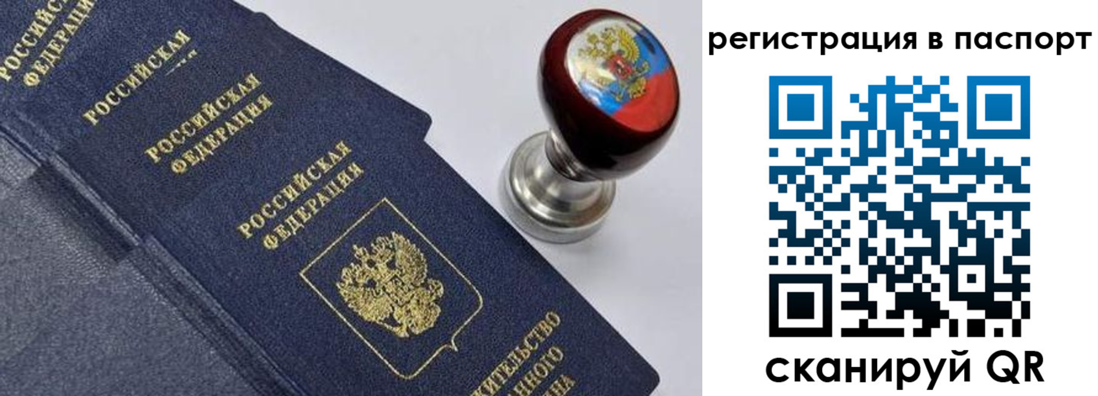 прописка поиск в Алтайском крае